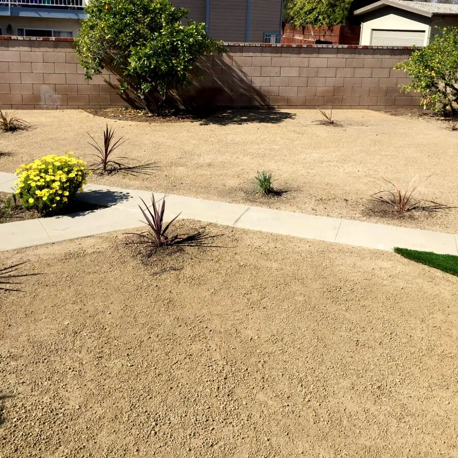 Decomposed granite landscape area