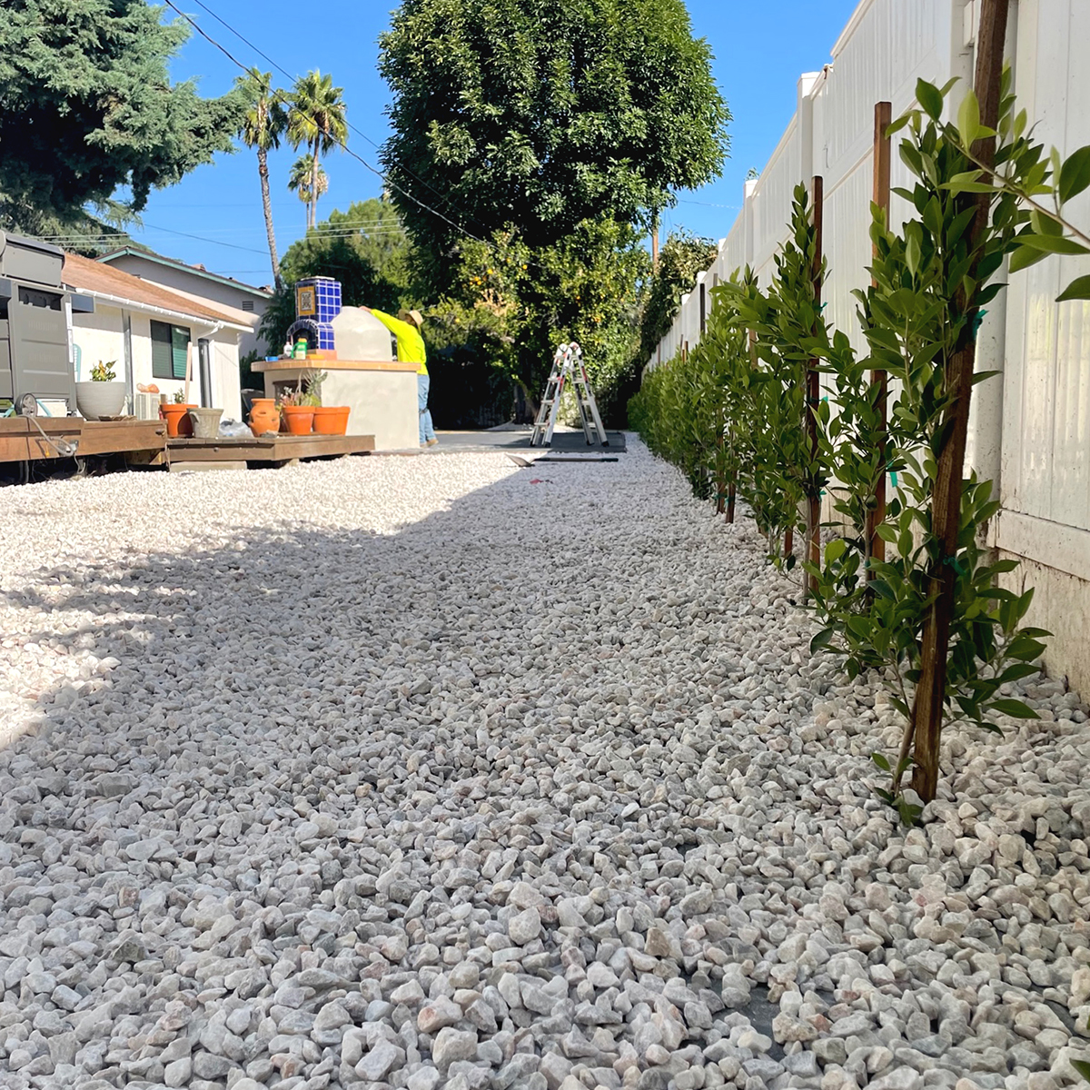 Landscape Planting Services in Los Angeles project detail